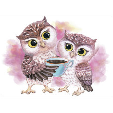 TSVETNOY diamond mosaiik 30x40cm Cute Owls, LE121e