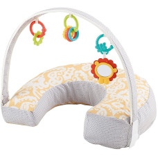 FISHER PRICE Padi mänguasjadega  DGY01 LÕPUMÜÜK