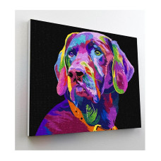 SPLAT PLANET diamond mosaiik 30x40сm DOG, SP46406