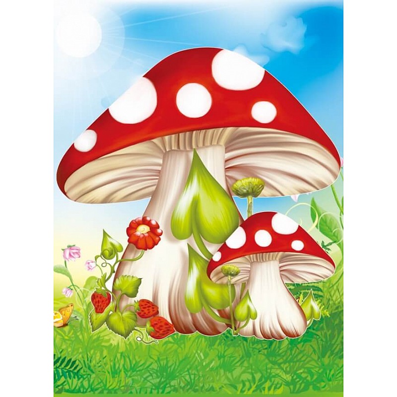 TSVETNOY diamond mosaiik 17x22cm Fly agaric mushrooms, X005e