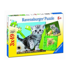 Ravensburger Пазл 3x49 Kaķēni R 09308