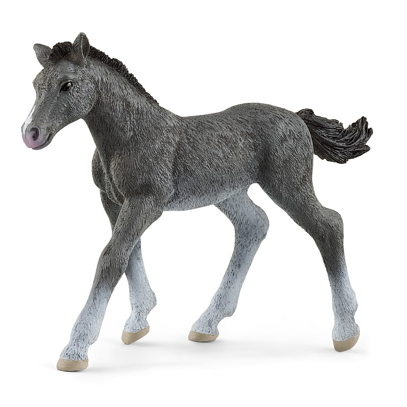 SCHLEICH HORSE CLUB Trakehner Foal