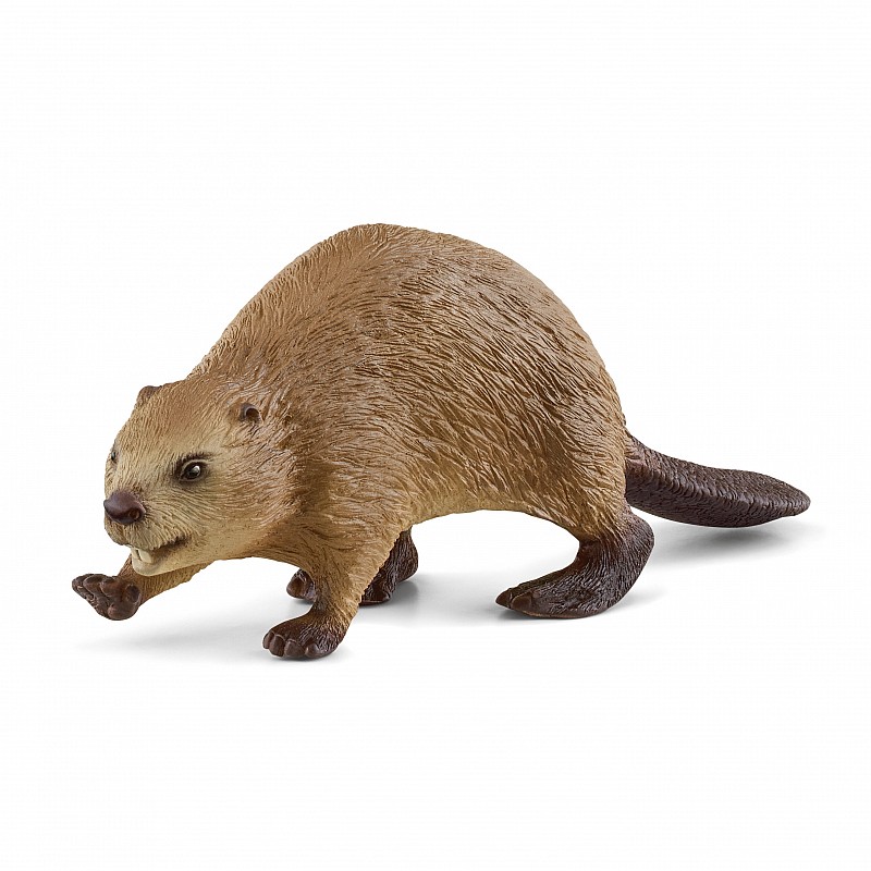 SCHLEICH WILD LIFE Bebrs